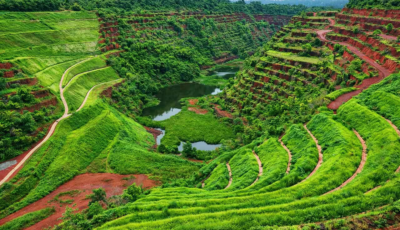 Imagem Hero Verdetec